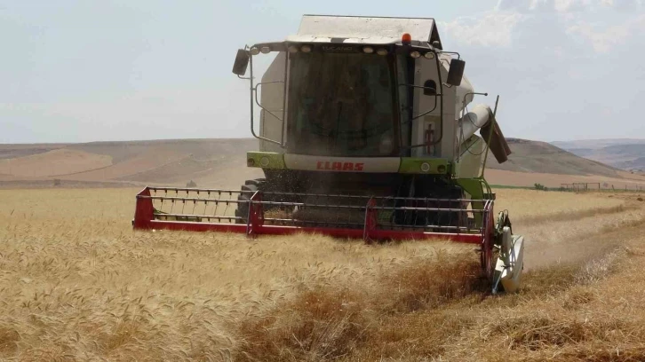 Siirtli çiftçinin 310 bin dekar buğday tarlasından beklentisi 160 bin ton üzeri
