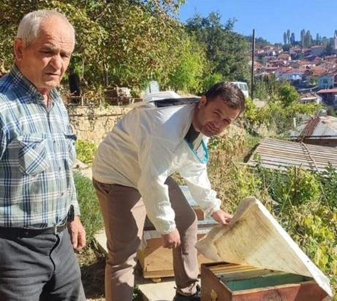 Simav’da arı kovanı sayımı ve destekleme işlemleri
