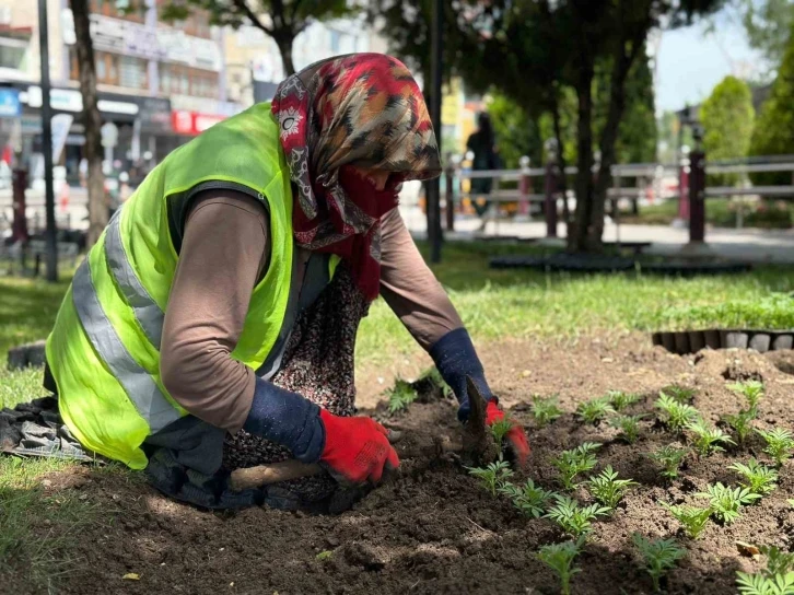 Sincan çiçeklerle donatıldı
