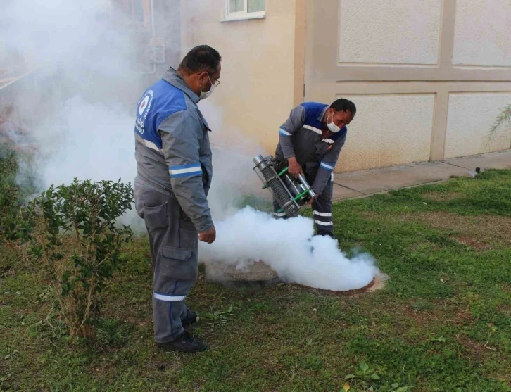 Sineksiz yaz için ilaçlama ordusu iş başında
