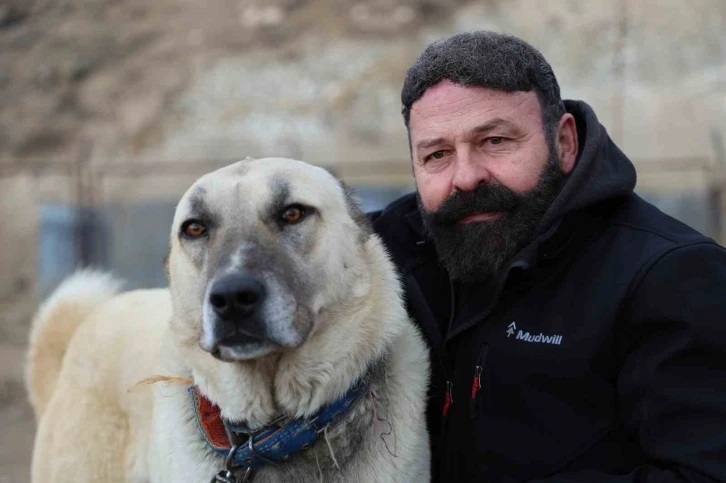 Sınır ötesi güvenliği için kangal tavsiyesi