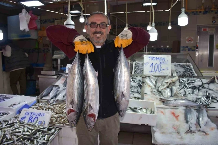 Sinop’ta 3 ve 5 kilogram arası torikler 500 TL
