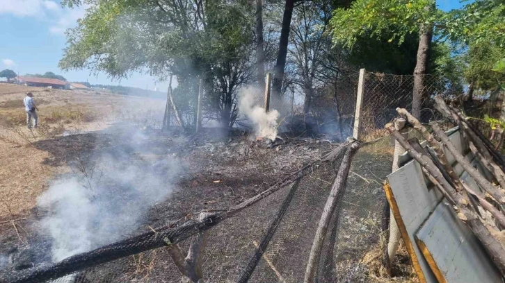 Sinop’ta çıkan eş zamanlı yangınlar korkuttu
