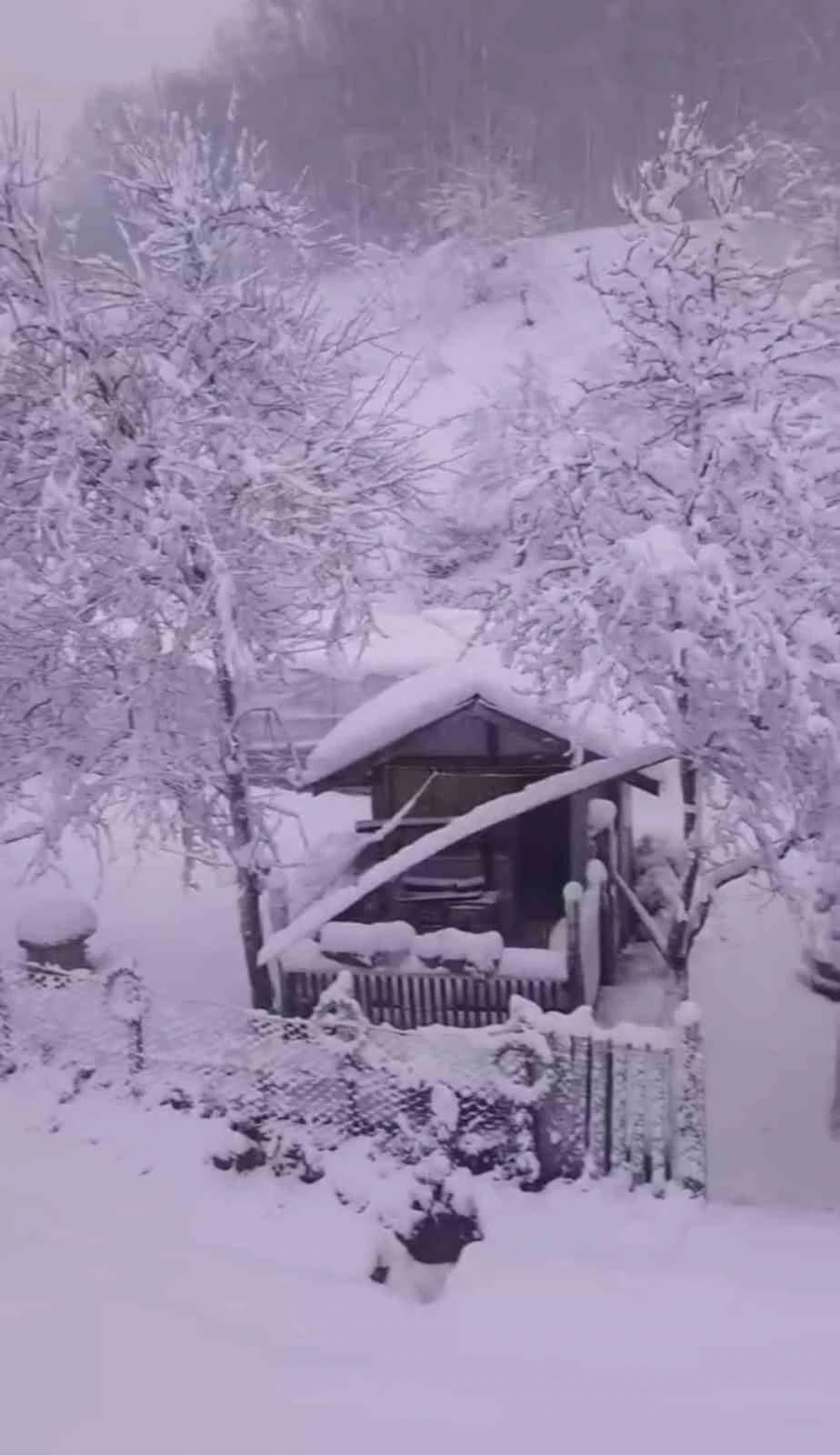 Sinop’ta kar yağışı
