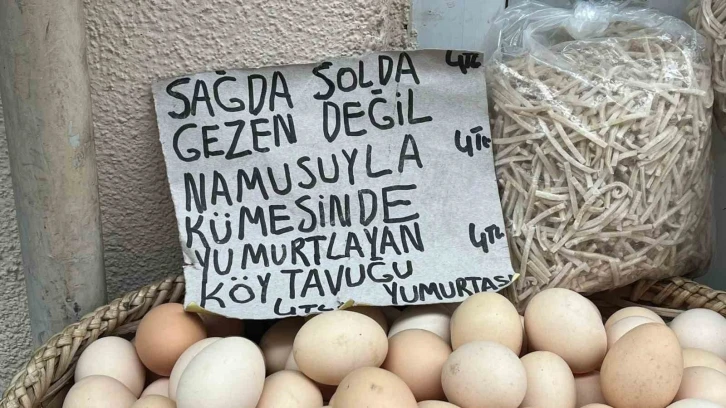 Sinoplu manavdan yumurta esprisi
