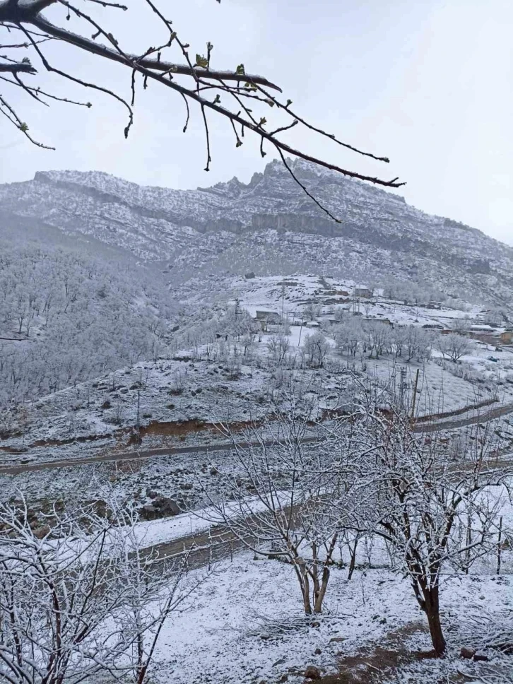 Şırnak beyaza büründü
