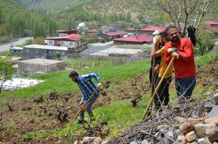 Şırnak’ta köylülerin imece usulü bağ bozma mesaisi başladı
