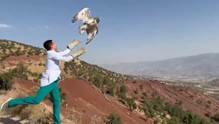 Şırnak’ta tedavileri tamamlanan ’yılan kartalı’ ve ’kızıl şahin’ doğaya bırakıldı
