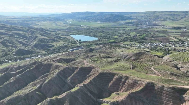 Sivas’a yeni bir orman kazandırılacak
