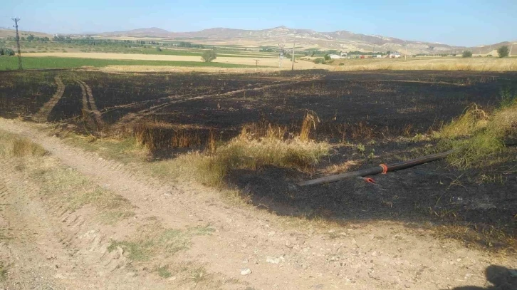 Sivas’ta tarla yangınında 50 dönüm ekili alan kül oldu
