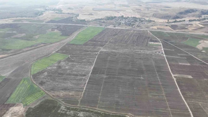 Sivas tarımına yüksek hızlı tren ayarı
