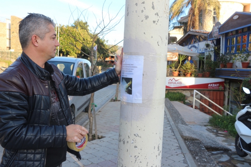 Sokak sokak dolaşıp Şeker’i arıyor