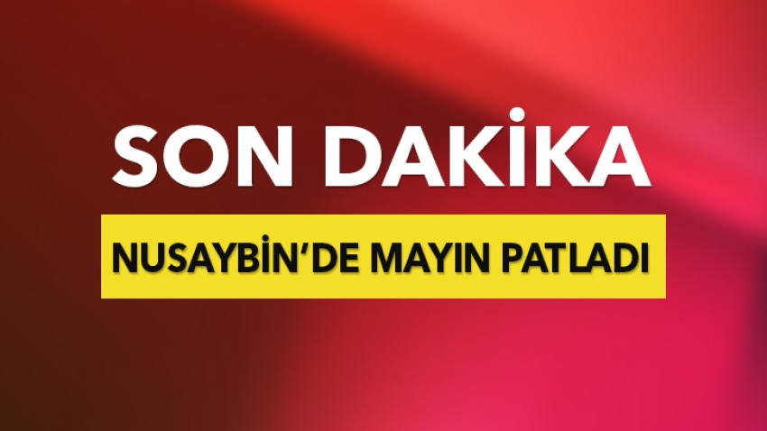 Nusaybin'de mayın patladı