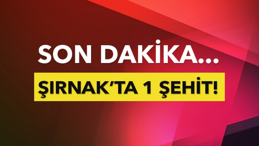 Şırnak'ta zırhlı araca saldırı: 1 şehit