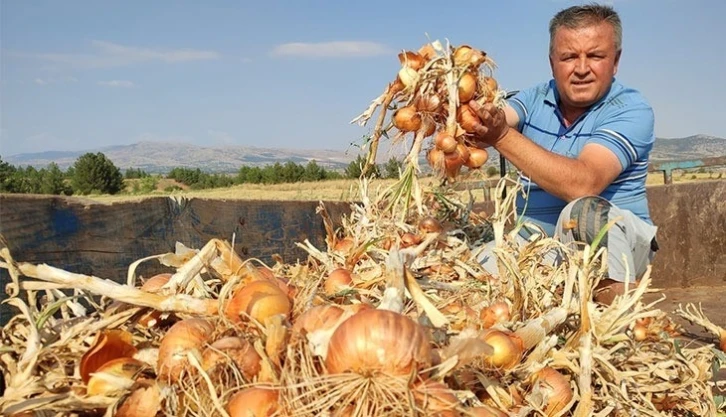 Soğan çiftçinin yeni umudu oldu
