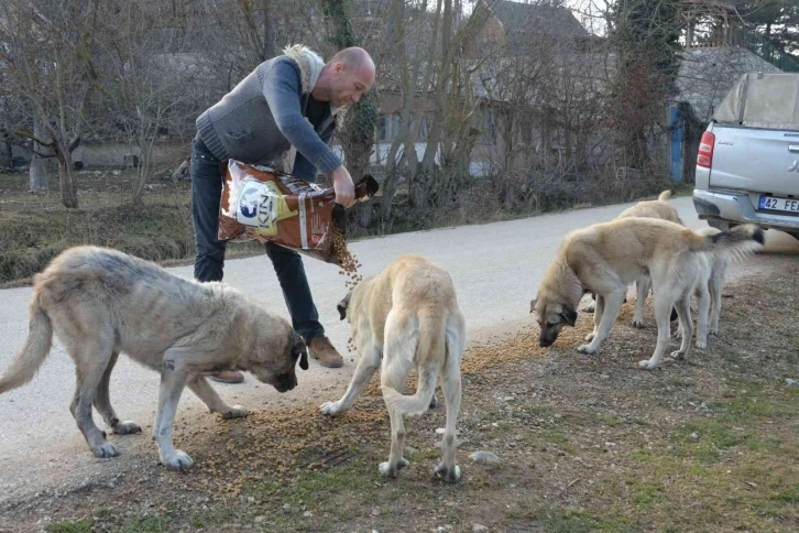 Soğuk havada sokak hayvanlarını besleme çalışmaları
