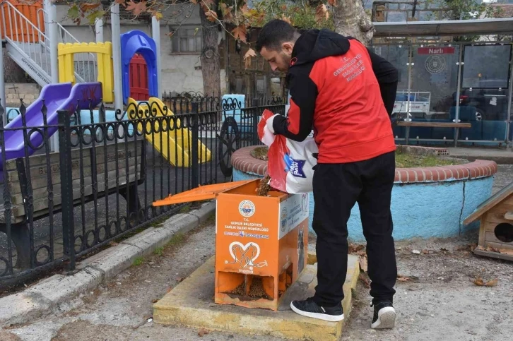 Sokaktaki canlar mamaya kolayca ulaşıyor
