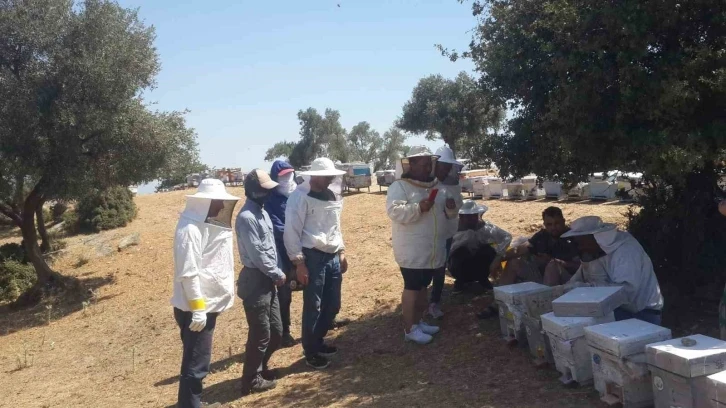 Söke’de Arıcılık Kursu uygulama eğitimleri sürüyor
