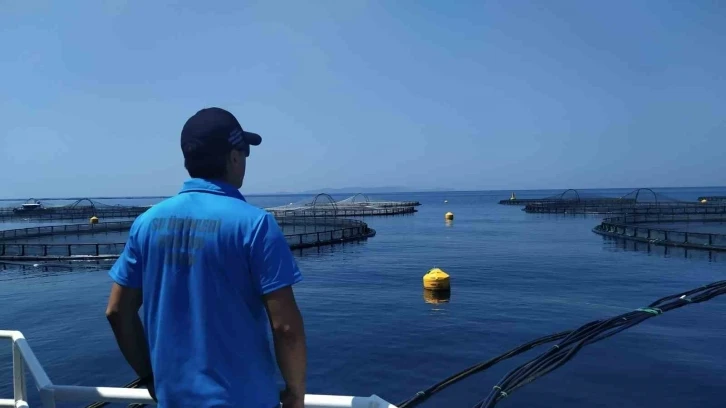 Söke’de balık çiftlikleri denetlendi
