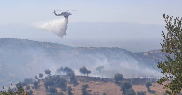 Söke’deki yangınlarda 41 milyon 250 bin TL zarar
