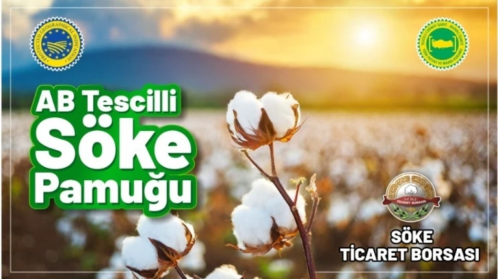 Söke Pamuğu, AB tarafından da tescillendi
