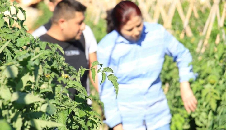 Son yağışlar, üreticinin yüzünü güldürdü
