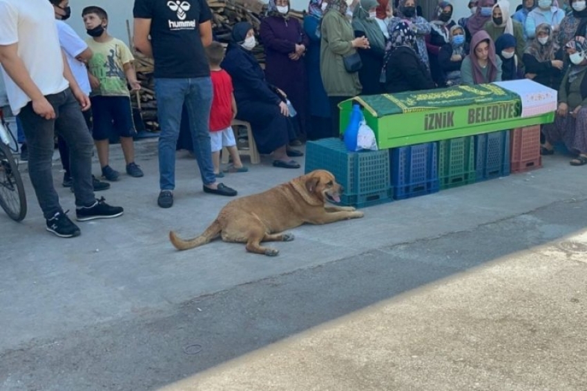 Bursa'daki vefa örneği!