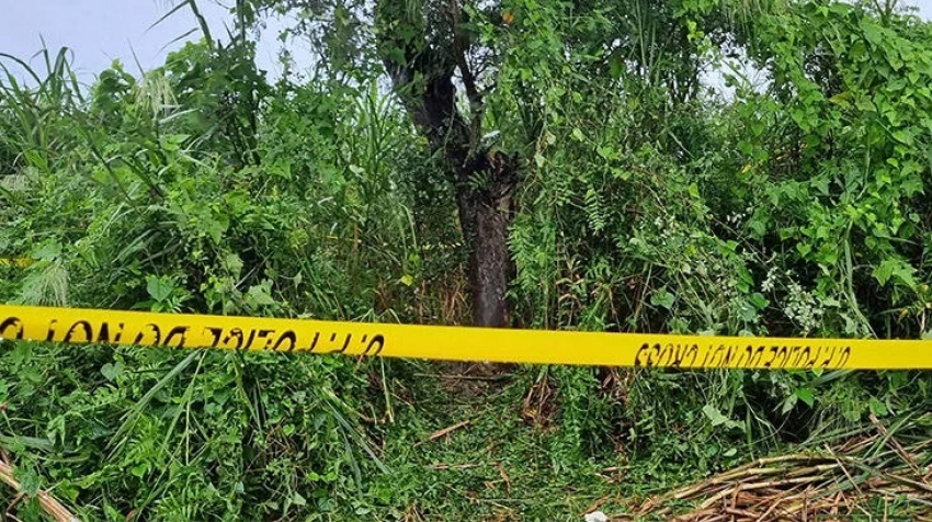 İki kız kardeşin cesetleri ağaca asılı halde bulundu