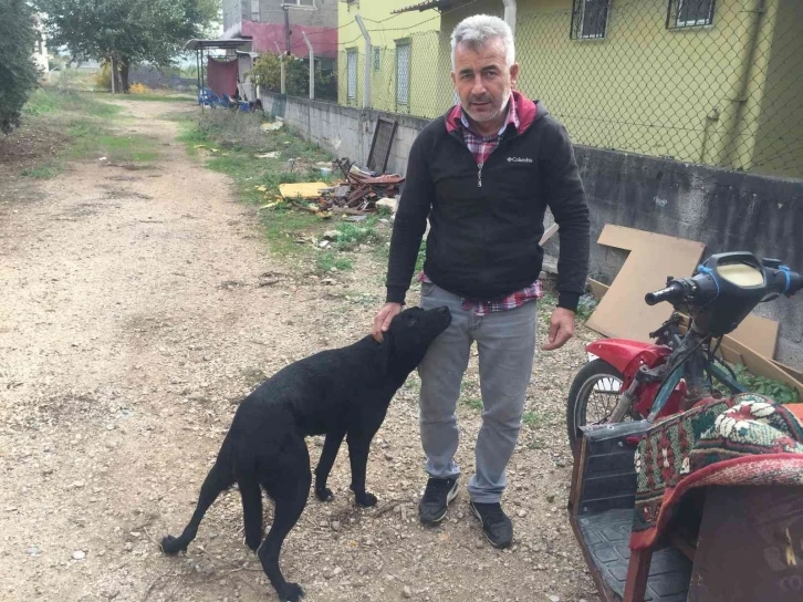 Yolundan çekilmeyen köpeği bilerek ezdi!