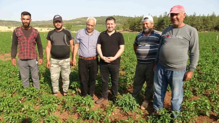 Suya kavuşan köyde arazi fiyatları değerlendi, geri dönüşler başladı
