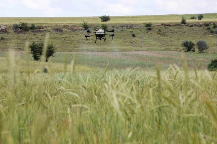 Talas’ta drone ile ilaçlama devri
