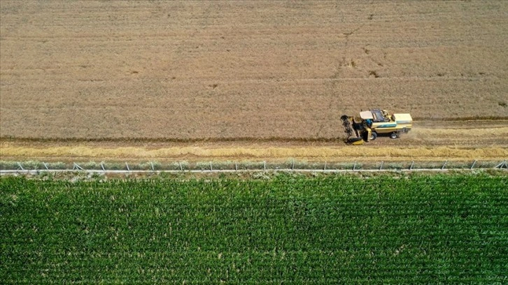 Tarım sektöründen ihracatta ilk yarı rekoru