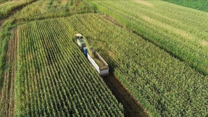 Tarım ÜFE mayısta aylık bazda yüzde 2,14, yıllık yüzde 50,79 arttı