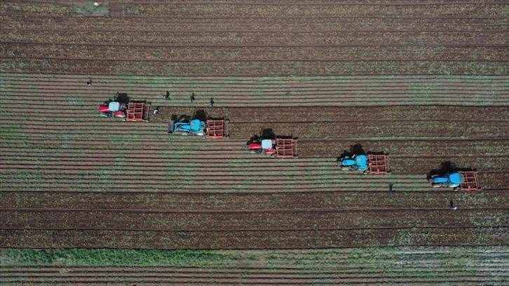 Tarım ve orman alanlarında düzenlemeleri içeren kanun Resmi Gazete'de