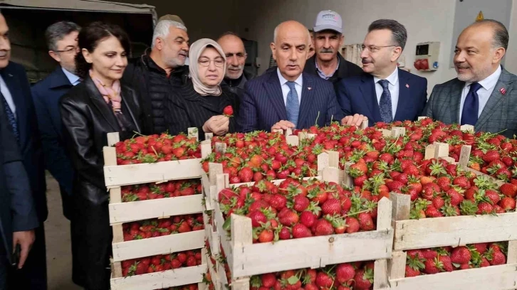 Tarım ve Orman Bakanı Kirişci: "Örtü altı sera alanı 811 bin dekara çıktı"
