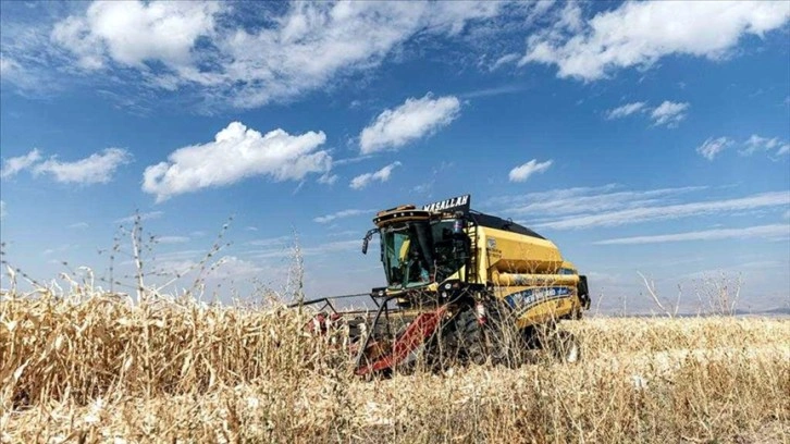 Tarımsal üretimin planlanması verimliliği artıracak