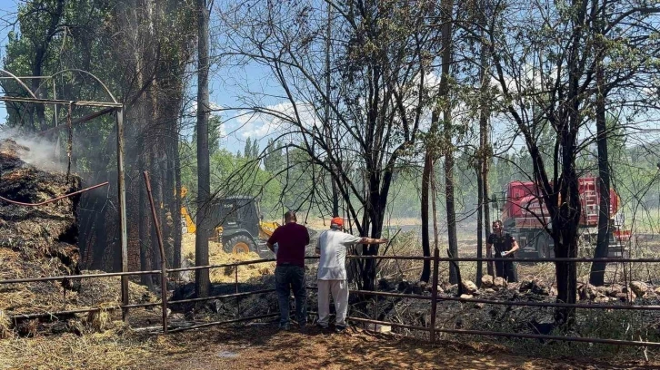 Tarlada başlayan yangın ahır ve saman balyalarına sıçradı, bine yakın saman balyası yandı
