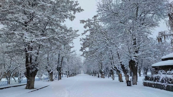 Tatvan’da masalsı kar manzaraları