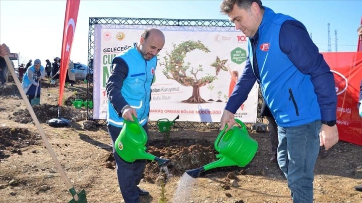 TDV, depremde hayatını kaybedenler için Kahramanmaraş'ta 13 bin fidan dikti