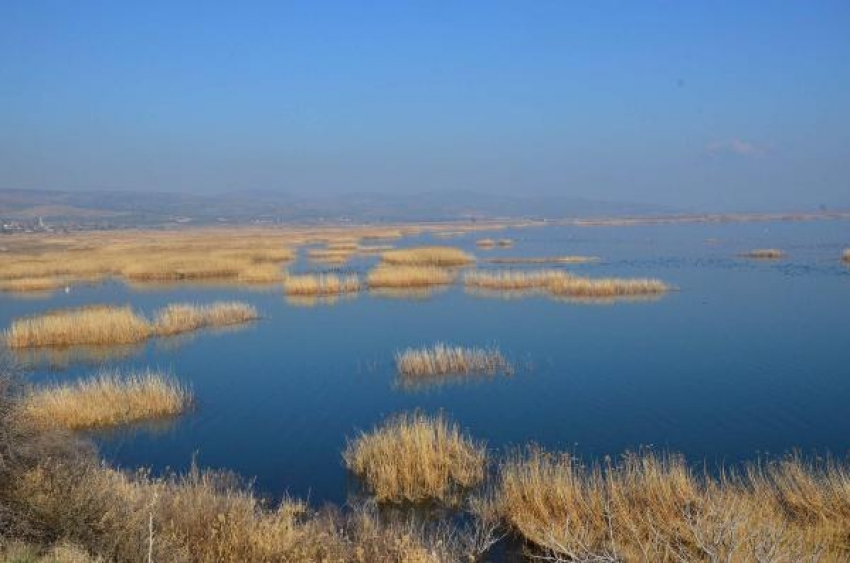 Tepeli pelikana zarar vermenin cezası 200 bin lira