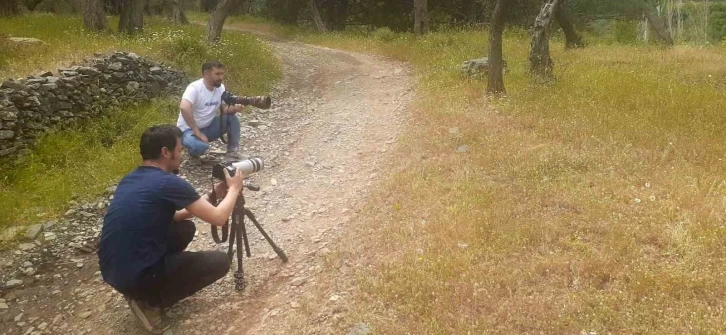 Tedavi edilen yaralı ’Ağaç Kamışçını’ kaldığı yerden göç yolculuğuna devam etti
