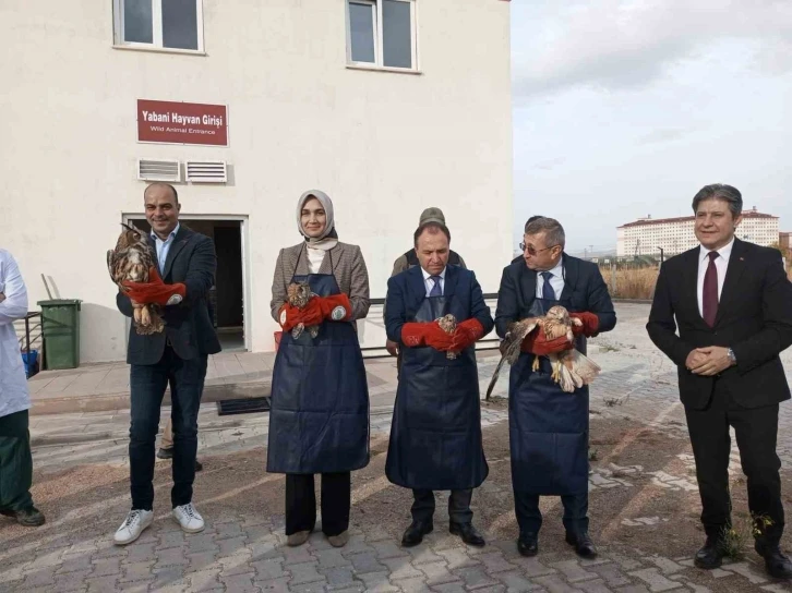 Tedavilere tamamlanan yırtıcı kuşları doğaya protokol üyeleri saldı
