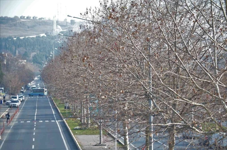 Tekirdağ’a kıştan önce bahar havası geldi
