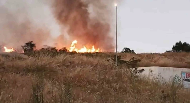 Tekirdağ’da Çırçır Tepesi’nde yangın
