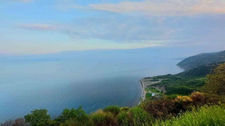 Tekirdağ’da ormanda piknik yapmak yasaklandı
