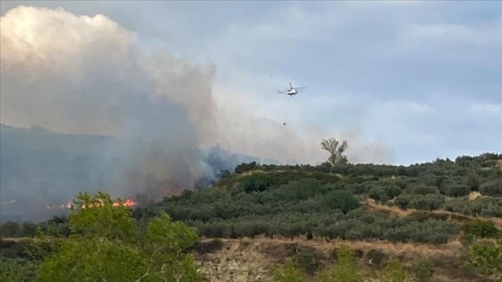 Tekirdağ'da makilik alanda çıkan yangın söndürüldü