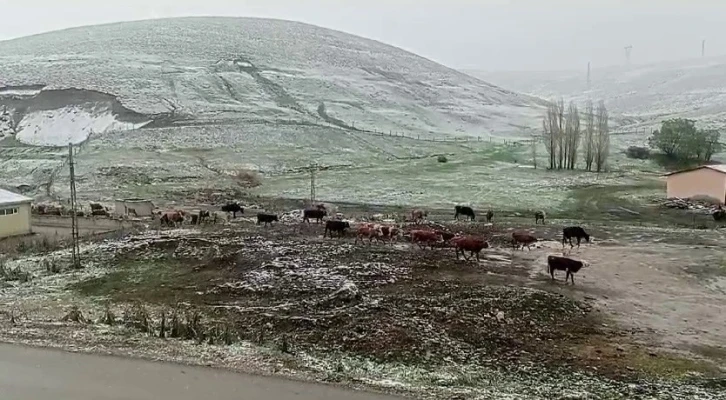 Tekman’da kar sürprizi
