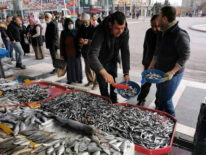 Tezgahlardaki balık bolluğu esnaf ve vatandaşın yüzünü güldürdü
