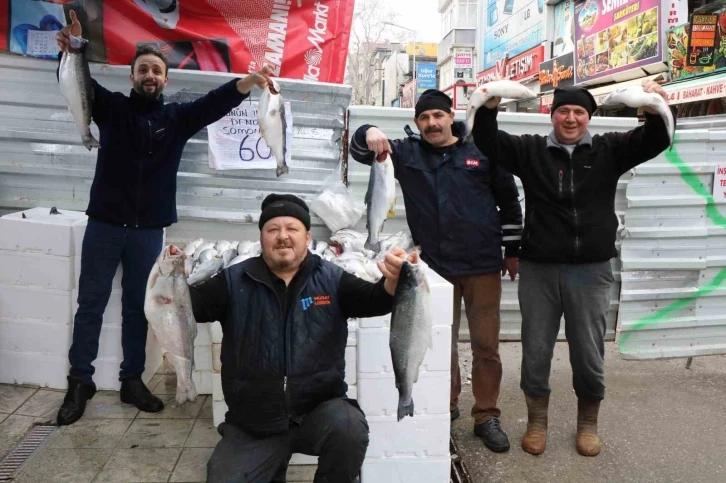 Tezgahların en pahalısı kalkan, en ucuzu ise mezgit