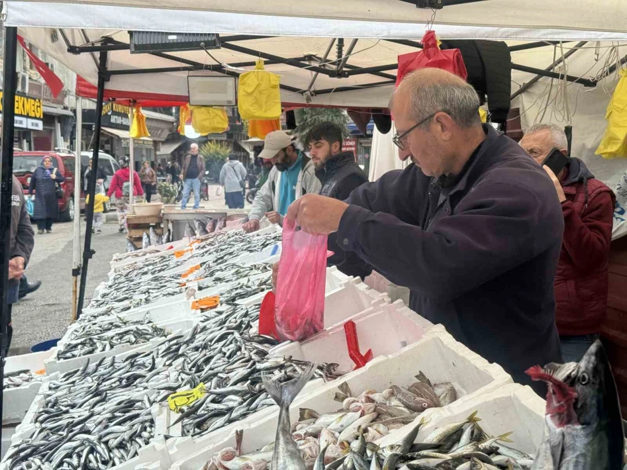 Tezgahların yeni gözdesi hamsi